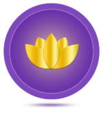 Your Enlightened Journey