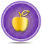 health-icon